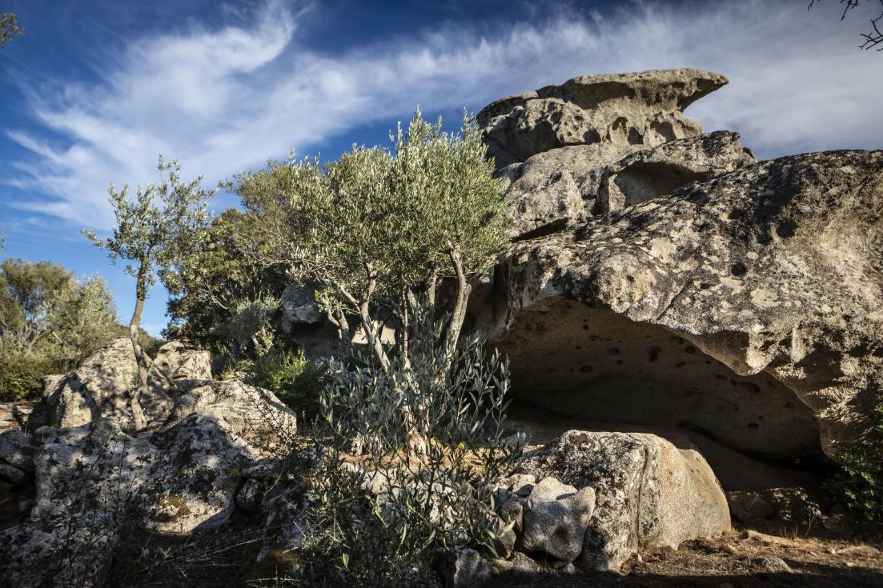 Gallicantu Stazzo Retreat ルオゴサント エクステリア 写真