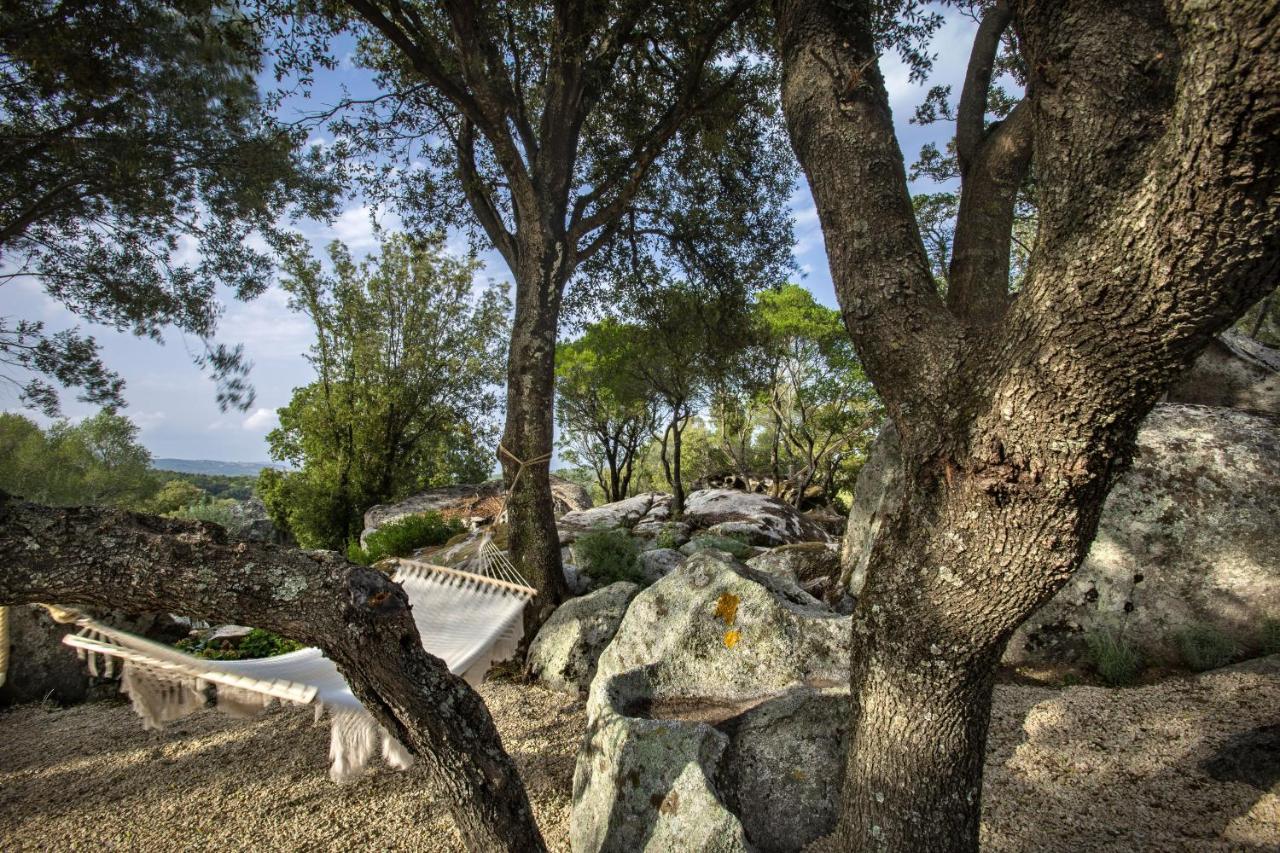 Gallicantu Stazzo Retreat ルオゴサント エクステリア 写真