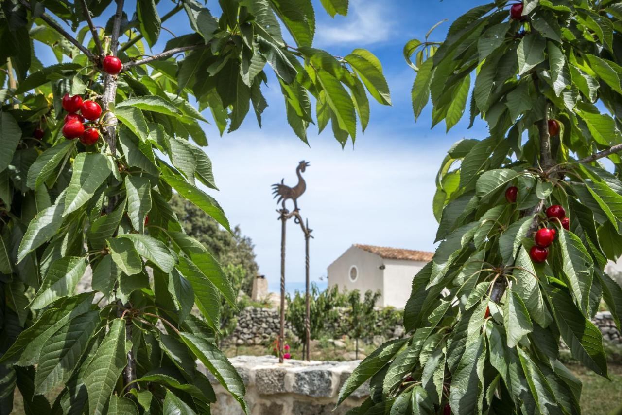 Gallicantu Stazzo Retreat ルオゴサント エクステリア 写真